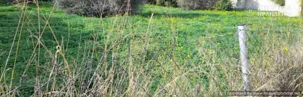 20240125_105428.jpg